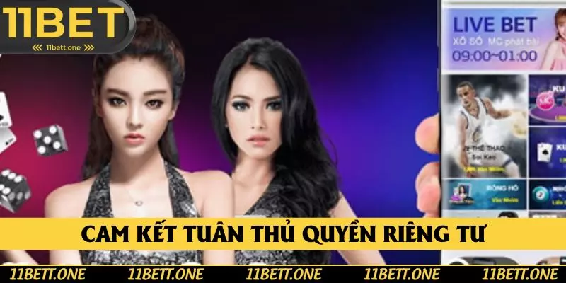 Cam kết của hệ thống với việc thực hiện chính sách