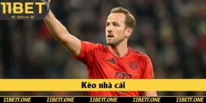 Kèo Nhà Cái | Thế Giới Đa Dạng Mang Lợi Nhuận Năm 2025