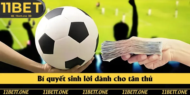 Bí quyết sinh lời dành cho tân thủ