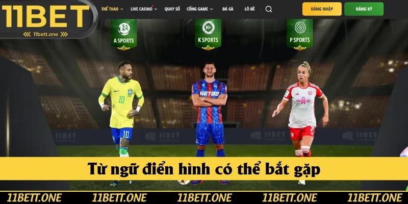 Từ ngữ điển hình có thể bắt gặp
